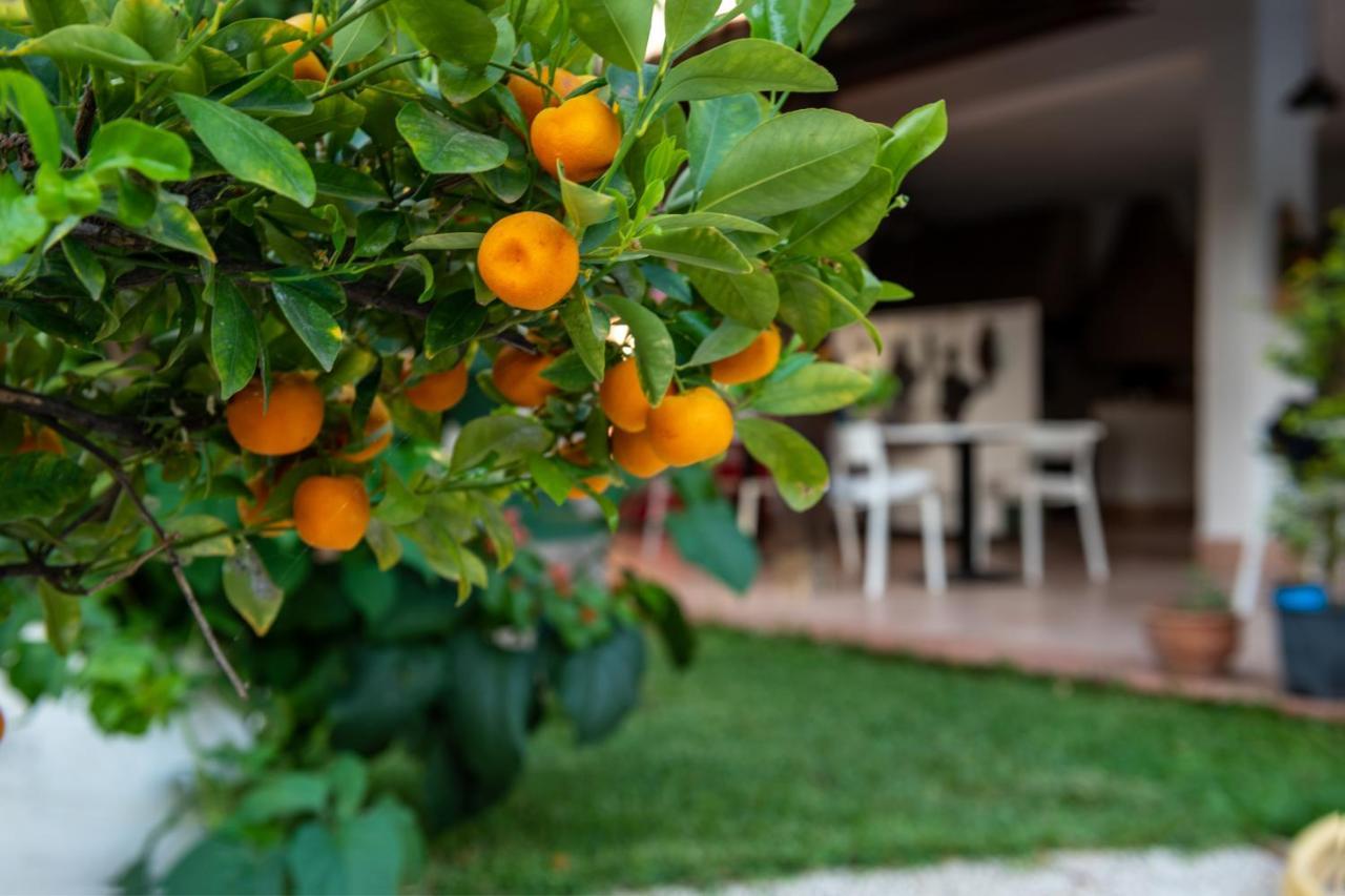 Villa Megna - Green Paradise B&B Palermo Dış mekan fotoğraf