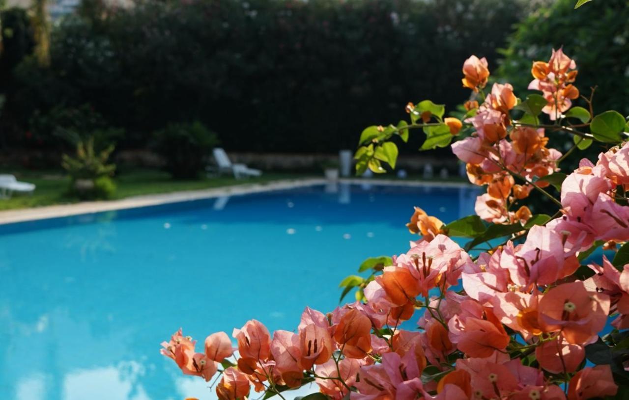 Villa Megna - Green Paradise B&B Palermo Dış mekan fotoğraf