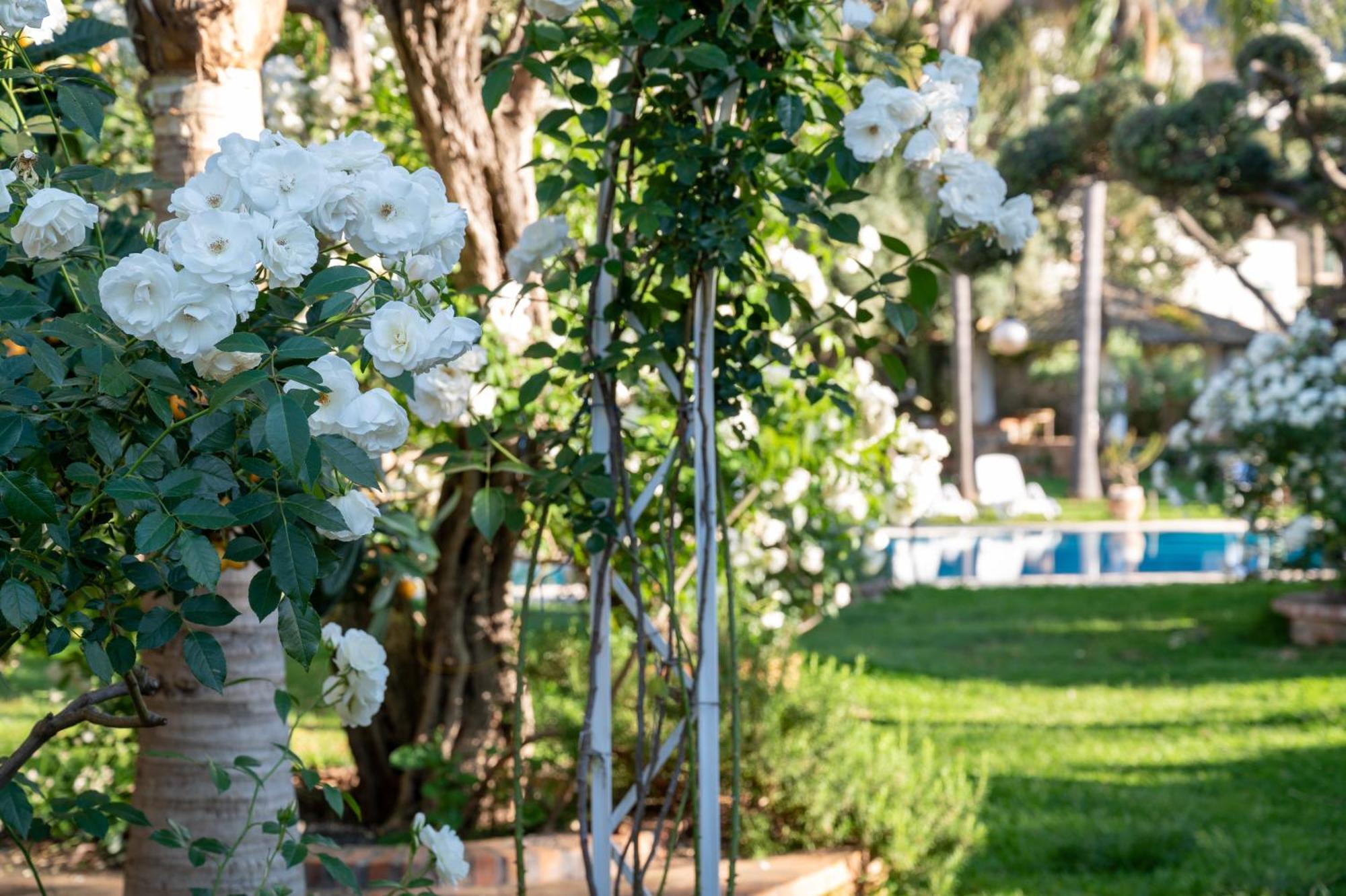 Villa Megna - Green Paradise B&B Palermo Dış mekan fotoğraf