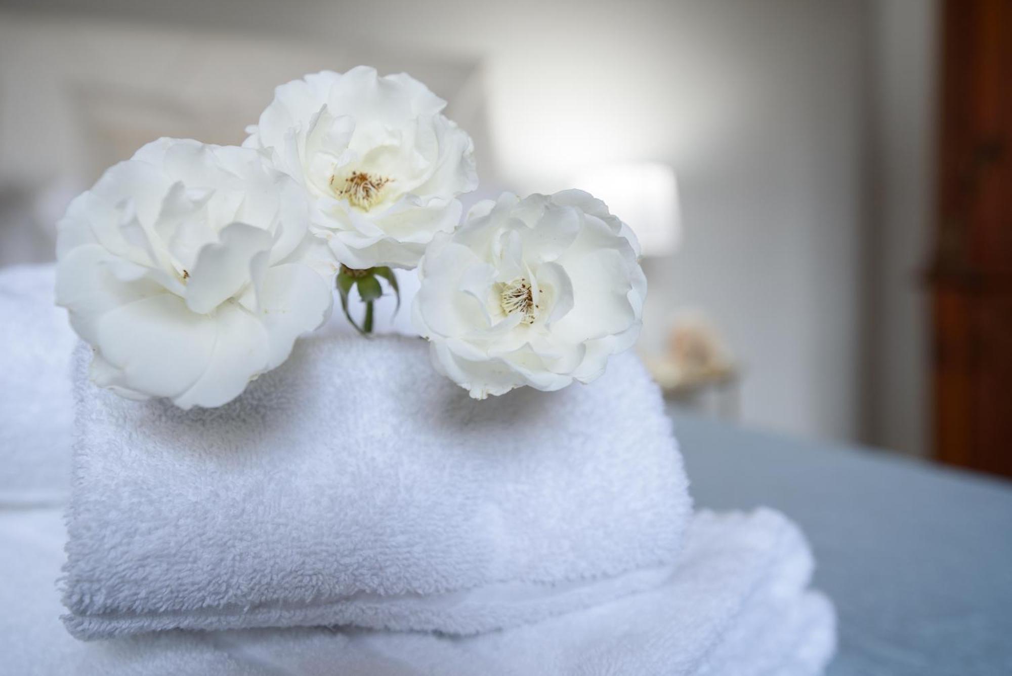 Villa Megna - Green Paradise B&B Palermo Dış mekan fotoğraf